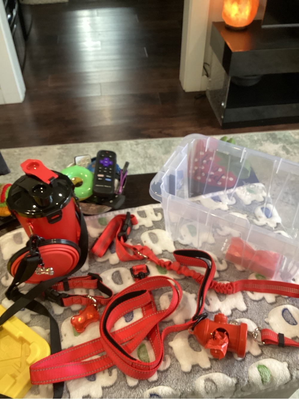 NWOT - Red Dog Leash and Accessory Set - Puppy Kit - BRAND NEW!!!!!!!!!